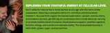 The20 Flow – emballage sans gluten, pratique et sûr pour voyager.