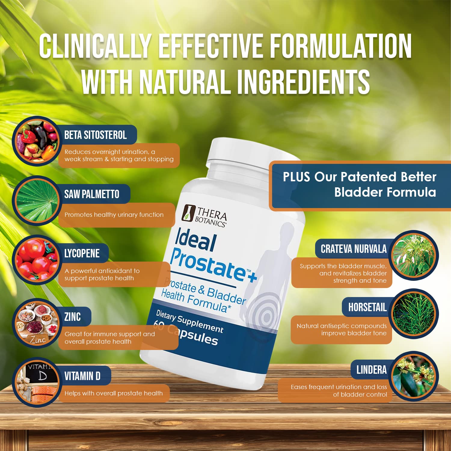 Therabotanics Prostate Plus – fiche ingrédients montrant bêta-sitostérol et zinc.