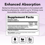 Capsules Theralogix Berberine, formulation à biodisponibilité élevée pour le quotidien.