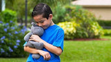 Thermal-Aid Happy The Hippo utilisation réutilisable et durable.