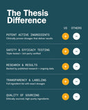 THESIS Le kit de démarrage – ingrédients Crinière de Lion et Alpha-GPC, clarté cognitive.