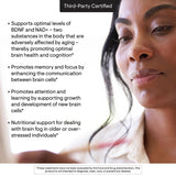 THORNE Brain Factors - dose pratique, intégrable à une routine matinale.