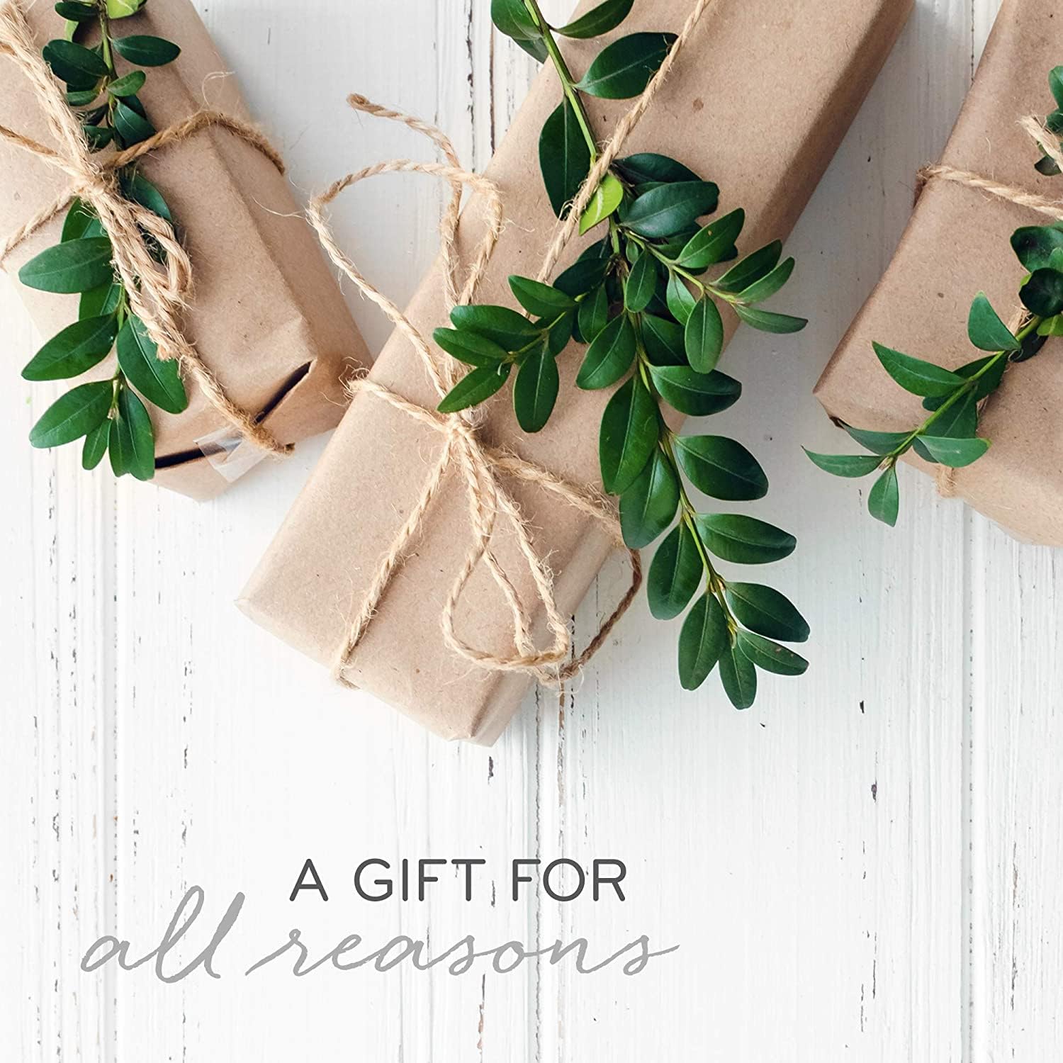 Bougie Thymes Frasier Fir emballage recyclable