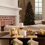 Thymes Frasier Fir Bougie parfum sapin sibérien frais et vivifiant