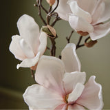 Thymes Magnolia Willow bouteille parfumee, apporte une senteur florale à votre pièce