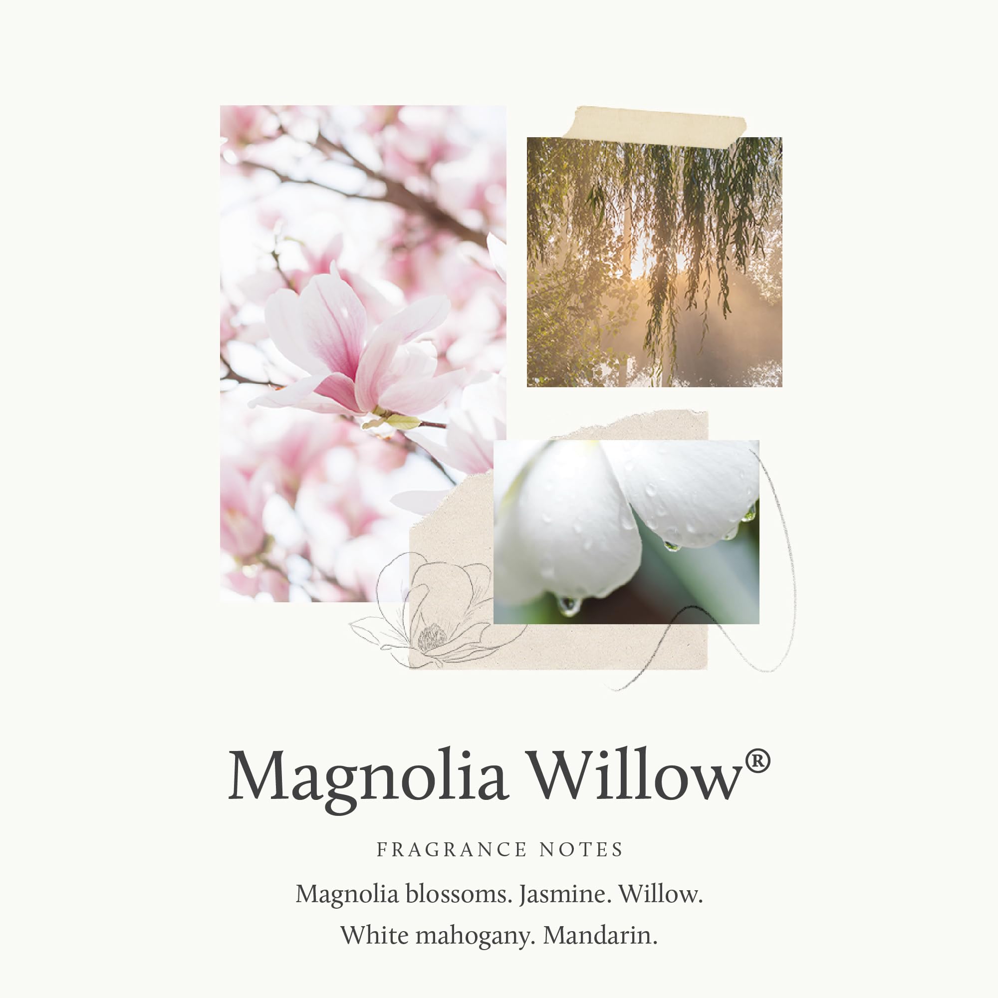 Thymes Magnolia Willow pulverisateur parfumé, diffuse rapidement une fragrance légère