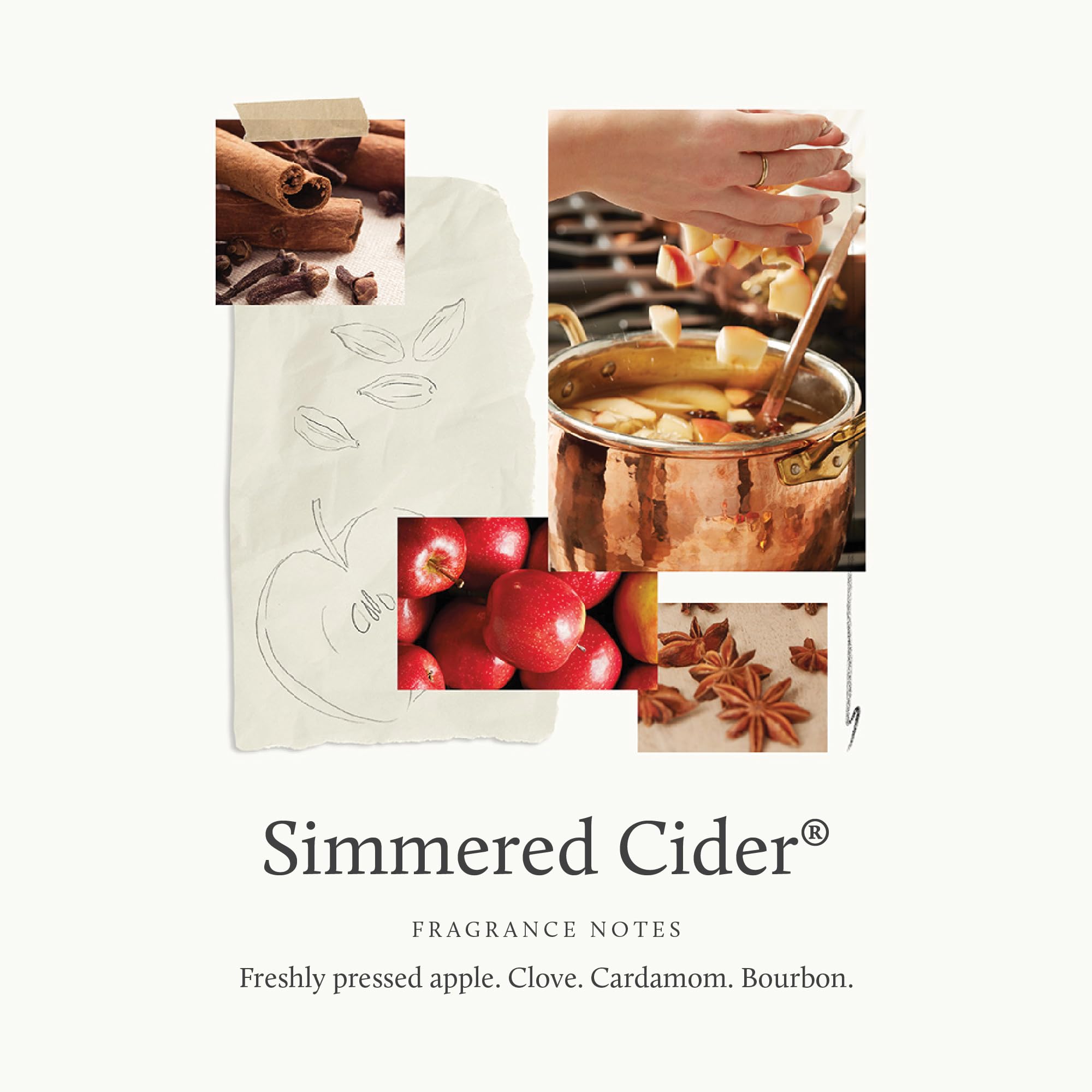 Thymes Simmered Cider Mist — emballage : design élégant pour salon ou salle de bains