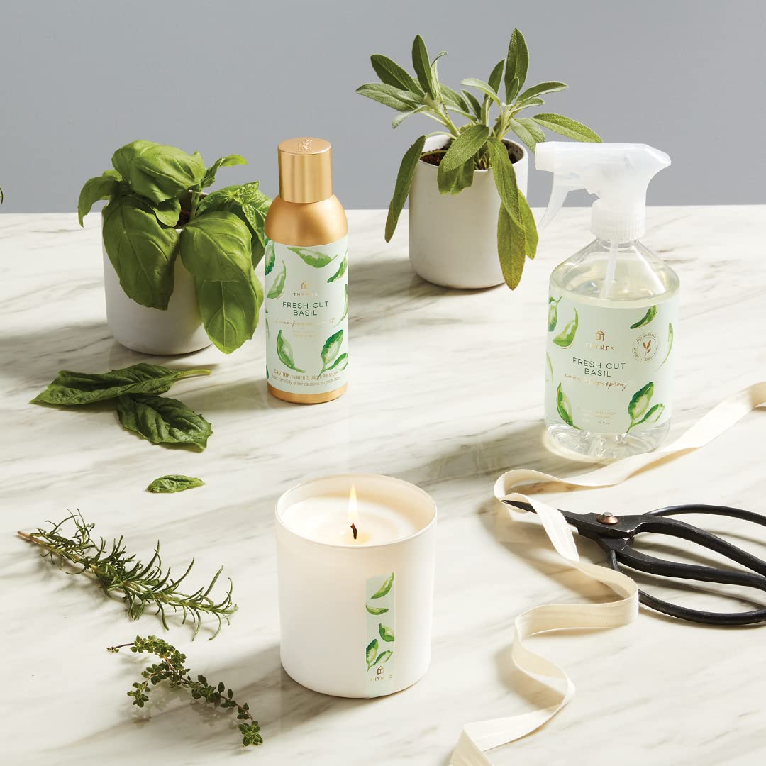 Thymes Usage Multi Espaces – idéal pour maison, bureau ou voiture.