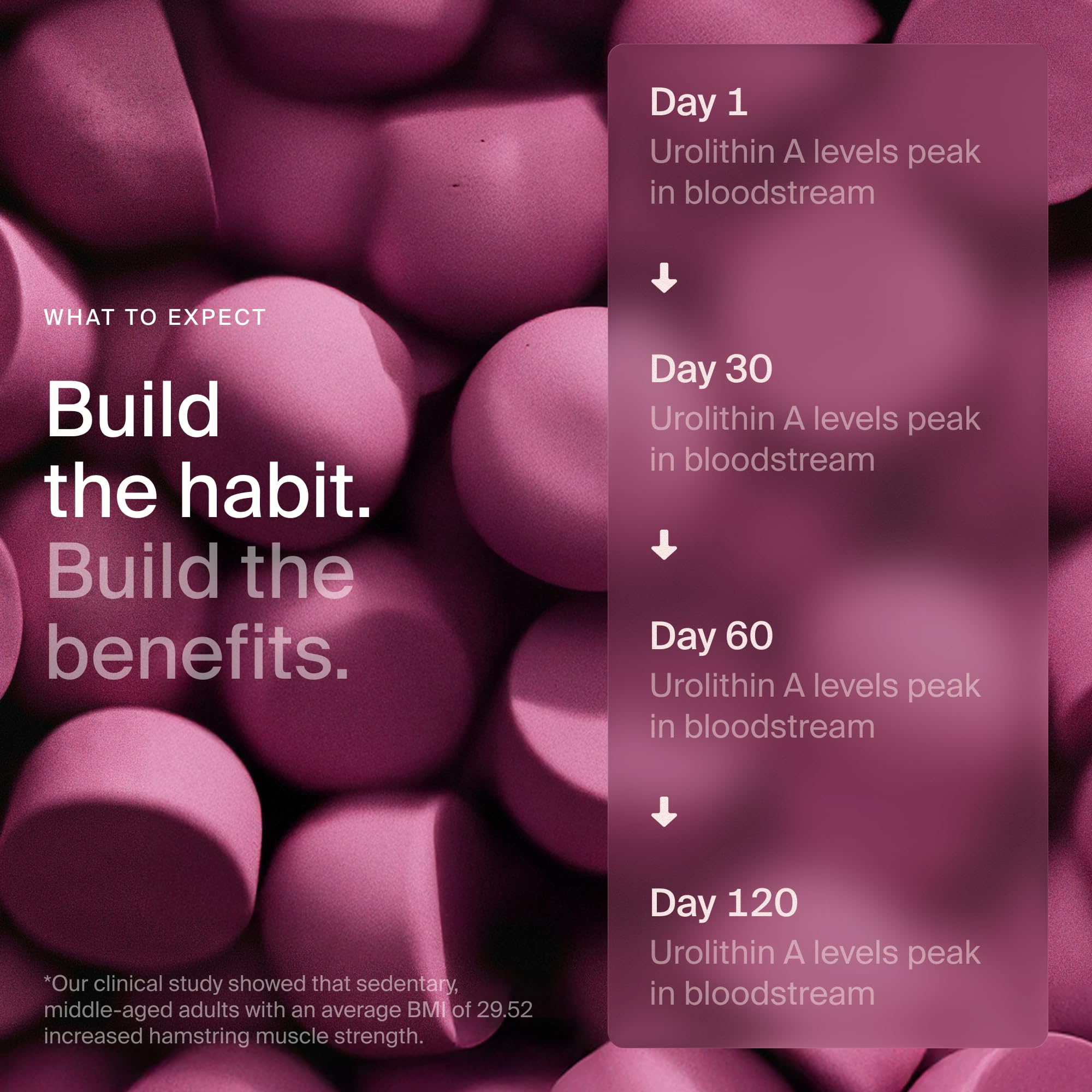 Ingrédients des gummies Mitopure affichés, formulation premium et sûre