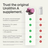 Usage quotidien des gummies Mitopure facilement intégrable à la routine