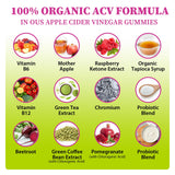 Gommes Tisestence liste d'ingredients naturels et transparence.
