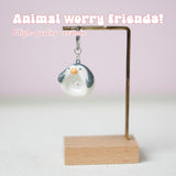 TIWIWTB coffret cadeau pingouin – emballage prêt à offrir.