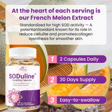 Gélules à libération retardée vegan, sans gluten, pratiques.