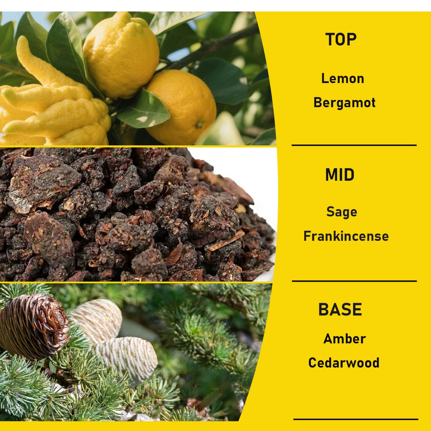 Tkaufen Anneau chauffant – bougie encens sauge, combustion sûre et longue.
