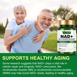 TKTALKER NAD 2000mg – composition: vitamine B3 et TMG inclus pour soutenir le métabolisme.