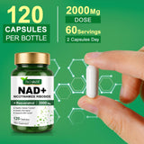 TKTALKER NAD 2000mg – gélules: prise journalière flexible pour l'énergie et la concentration.
