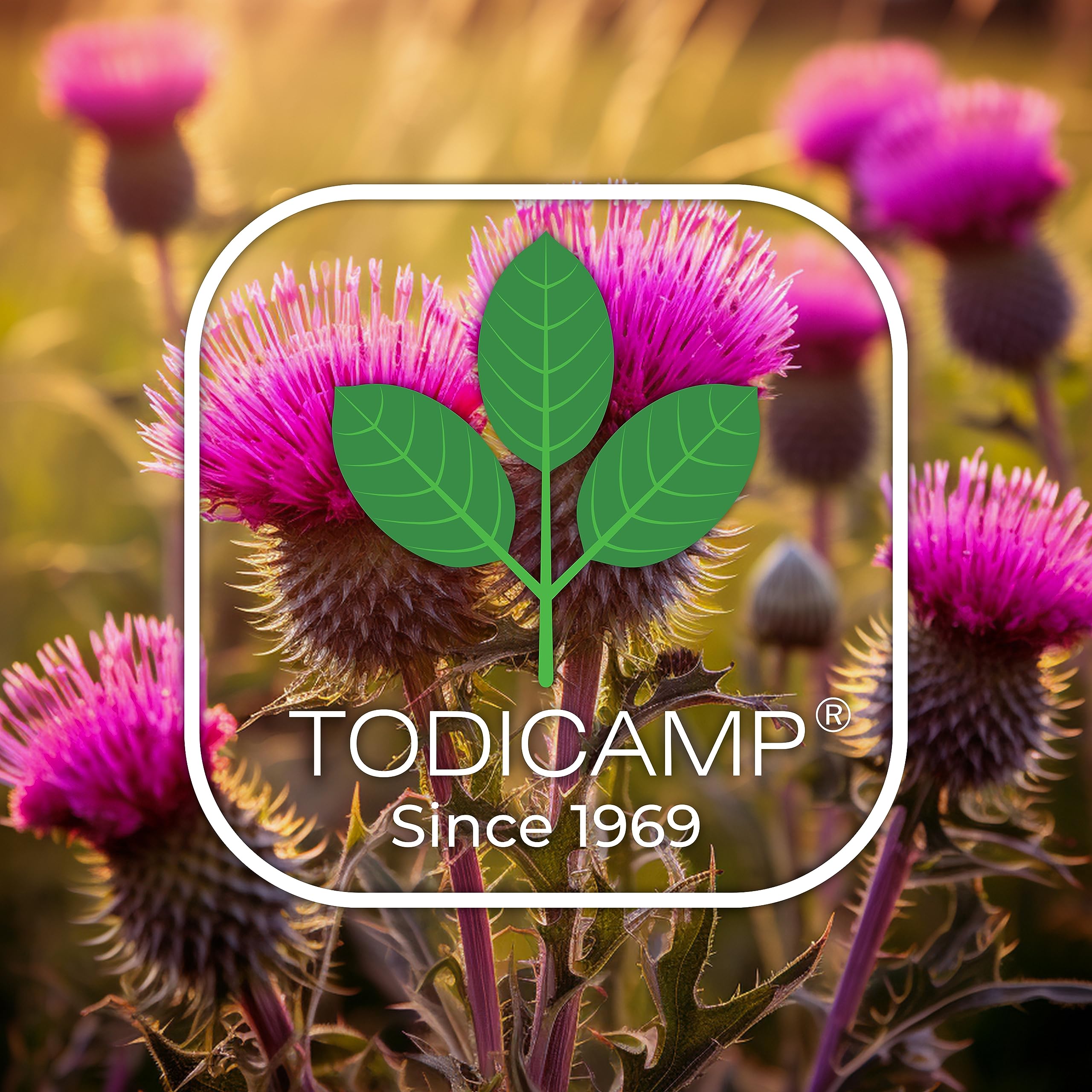  TODICAMP Huile chardon-Marie, conditionnement pratique, idéal pour réutiliser facilement.
