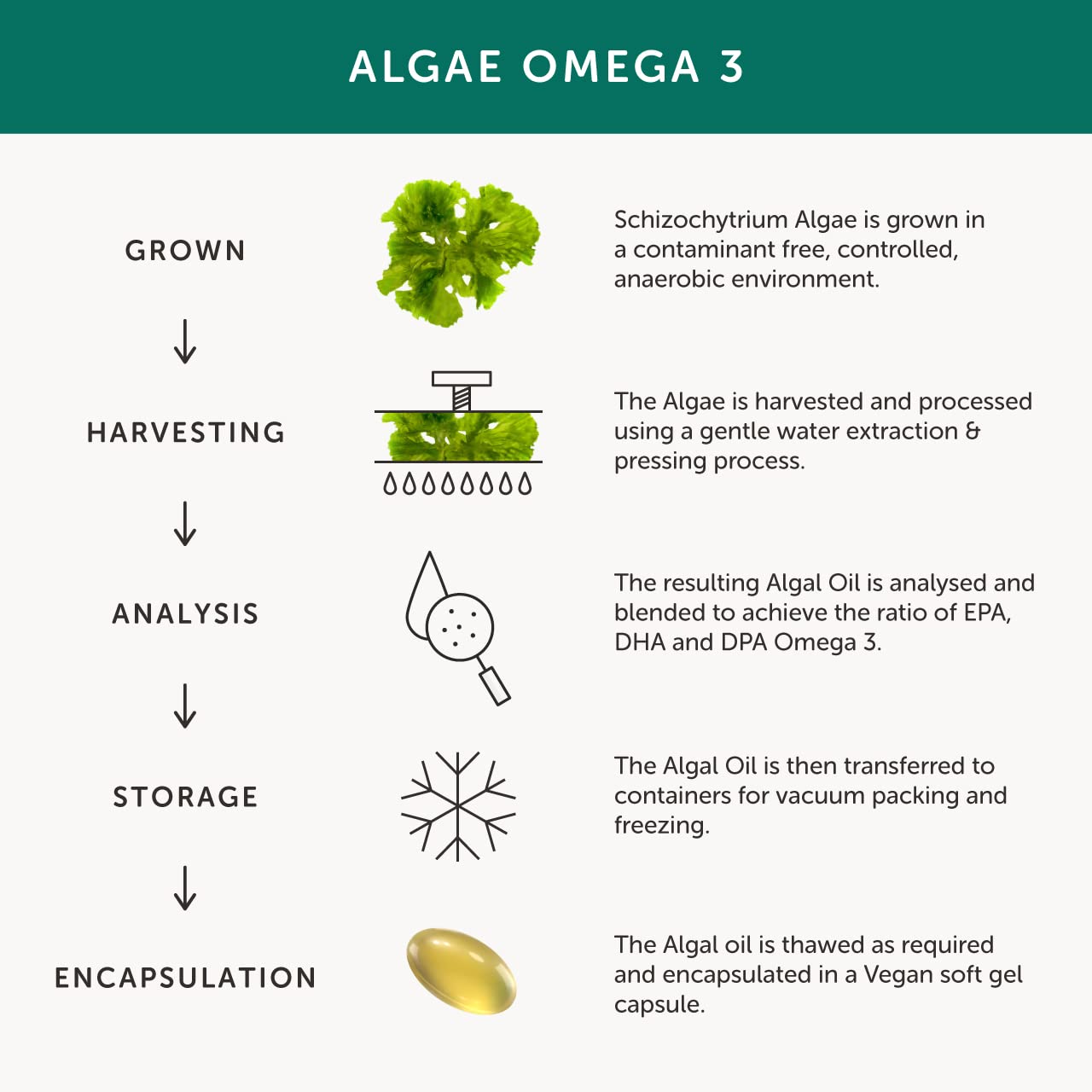 Together Omega 3: gélules softgels au profil neutre, sans goût fort.