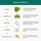 Together Omega 3: gélules softgels au profil neutre, sans goût fort.