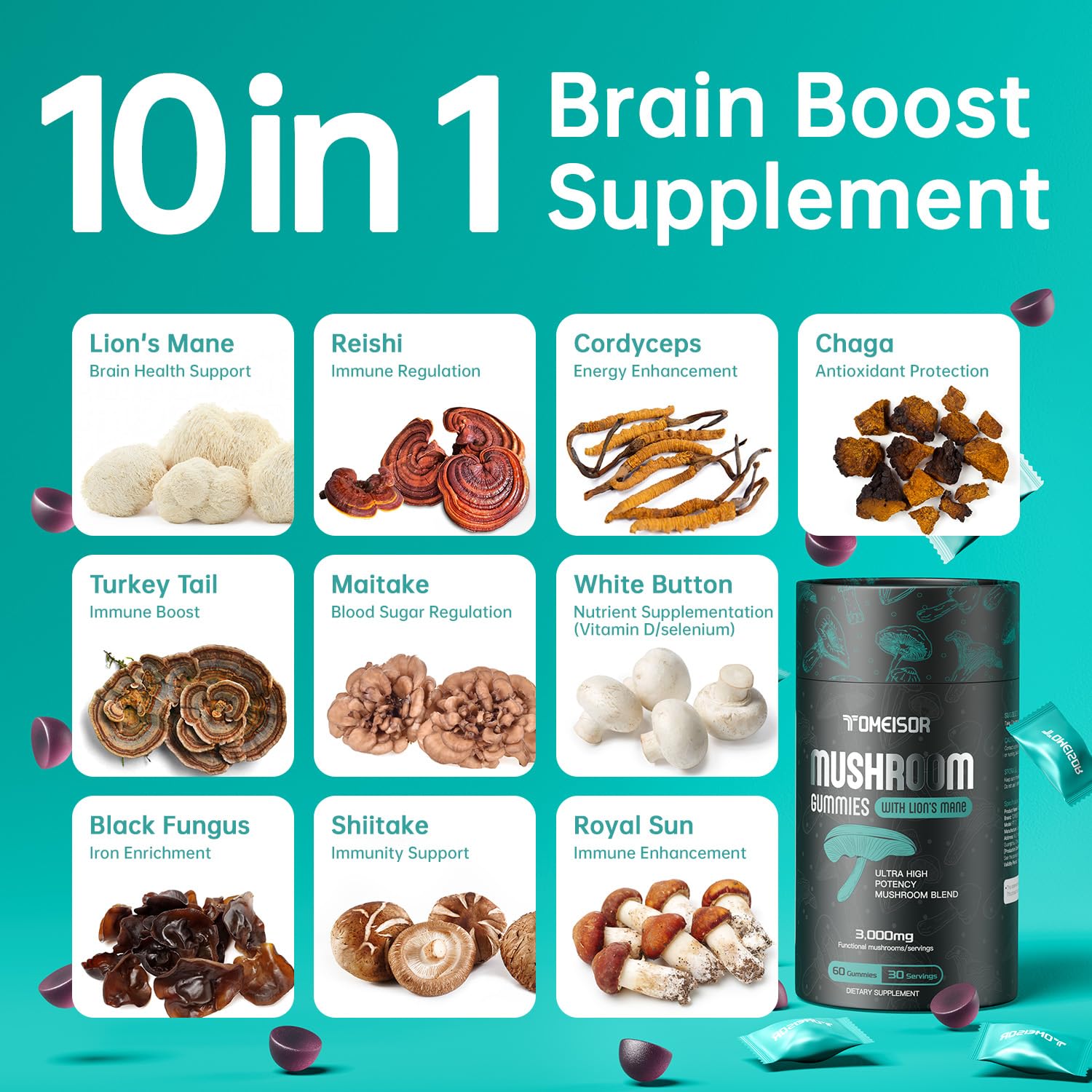 Infographie des 10 champignons TOMEISOR, bénéfices cognitifs potentiels.