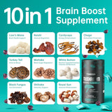 Infographie des 10 champignons TOMEISOR, bénéfices cognitifs potentiels.