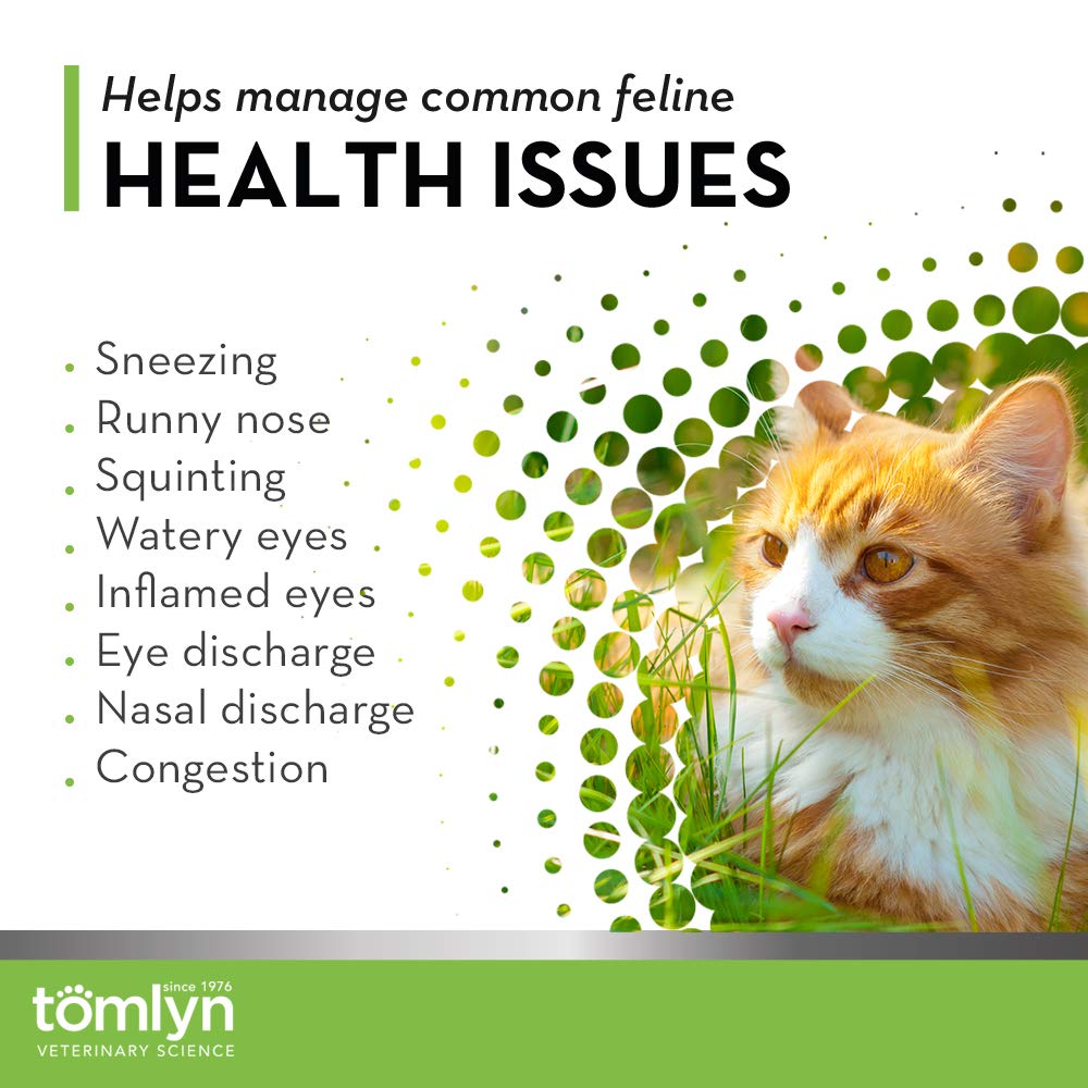 Tomlyn L-Lysine au poisson, poudre à mélanger dans la nourriture des chats.