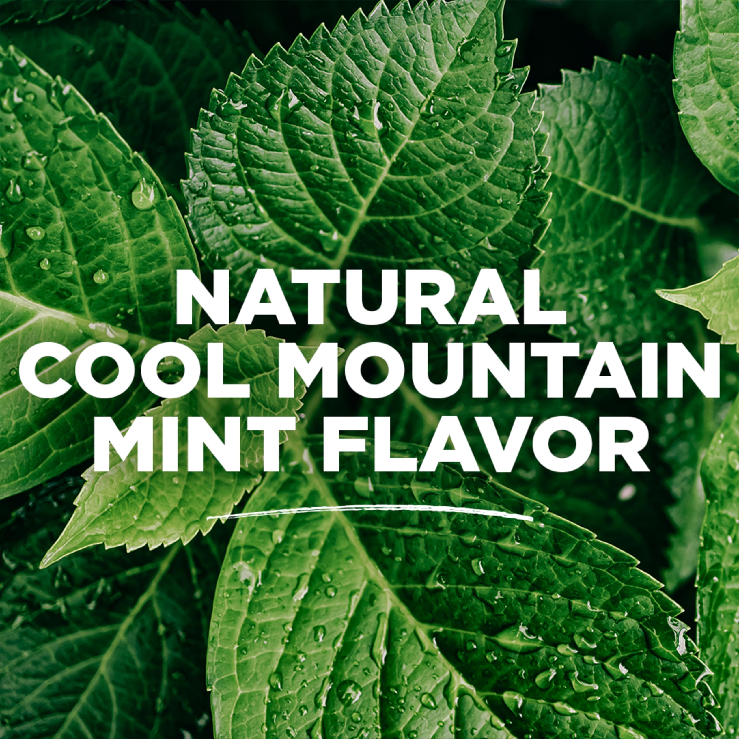 Tom's of Maine bain-bouche Wicked Fresh menthe fraîche, sensation vivifiante.