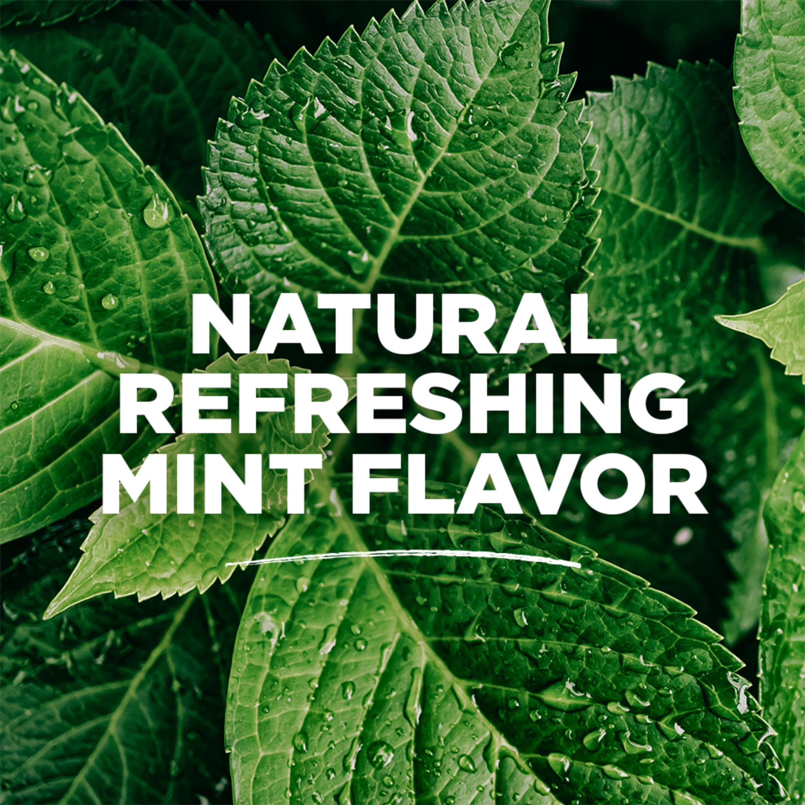 Tom's of Maine rince-bouche menthe, emballage écologique, bouteille durable