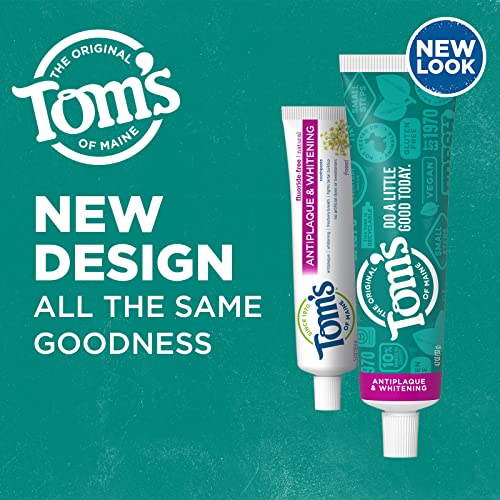 Tube dentifrice sans fluor Fenouil de Tom's of Maine prêt pour l’usage.