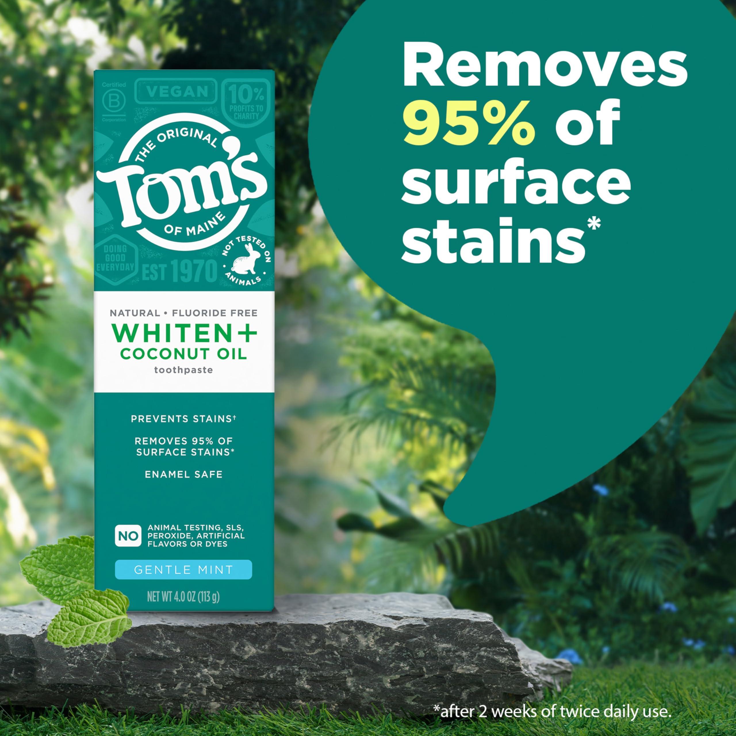 Tom’s of Maine Whiten Plus – emballage clair et recyclable, présentation soignée