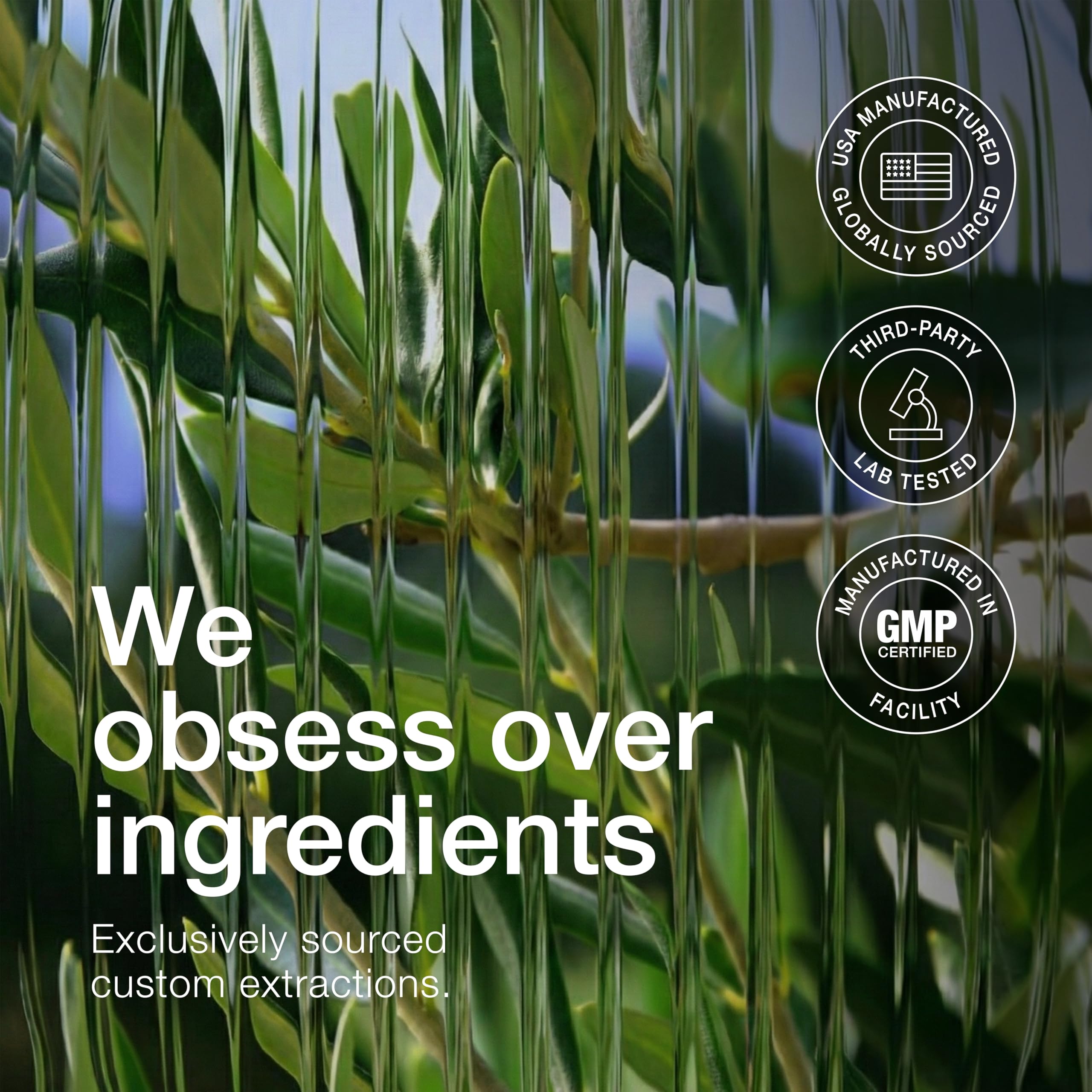 Détail concentration polyphénols Toniiq Extrait Feuille d'Olivier.