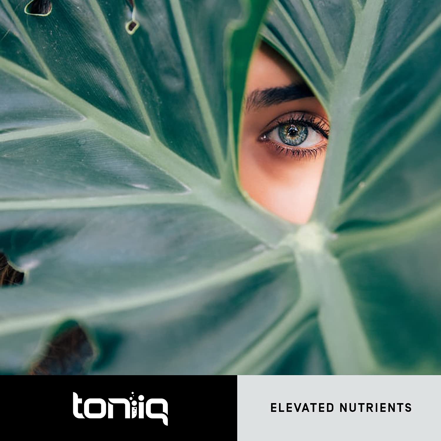 Toniiq Résveratrol — gélule en gros plan, efficacité potentielle des polyphénols naturels