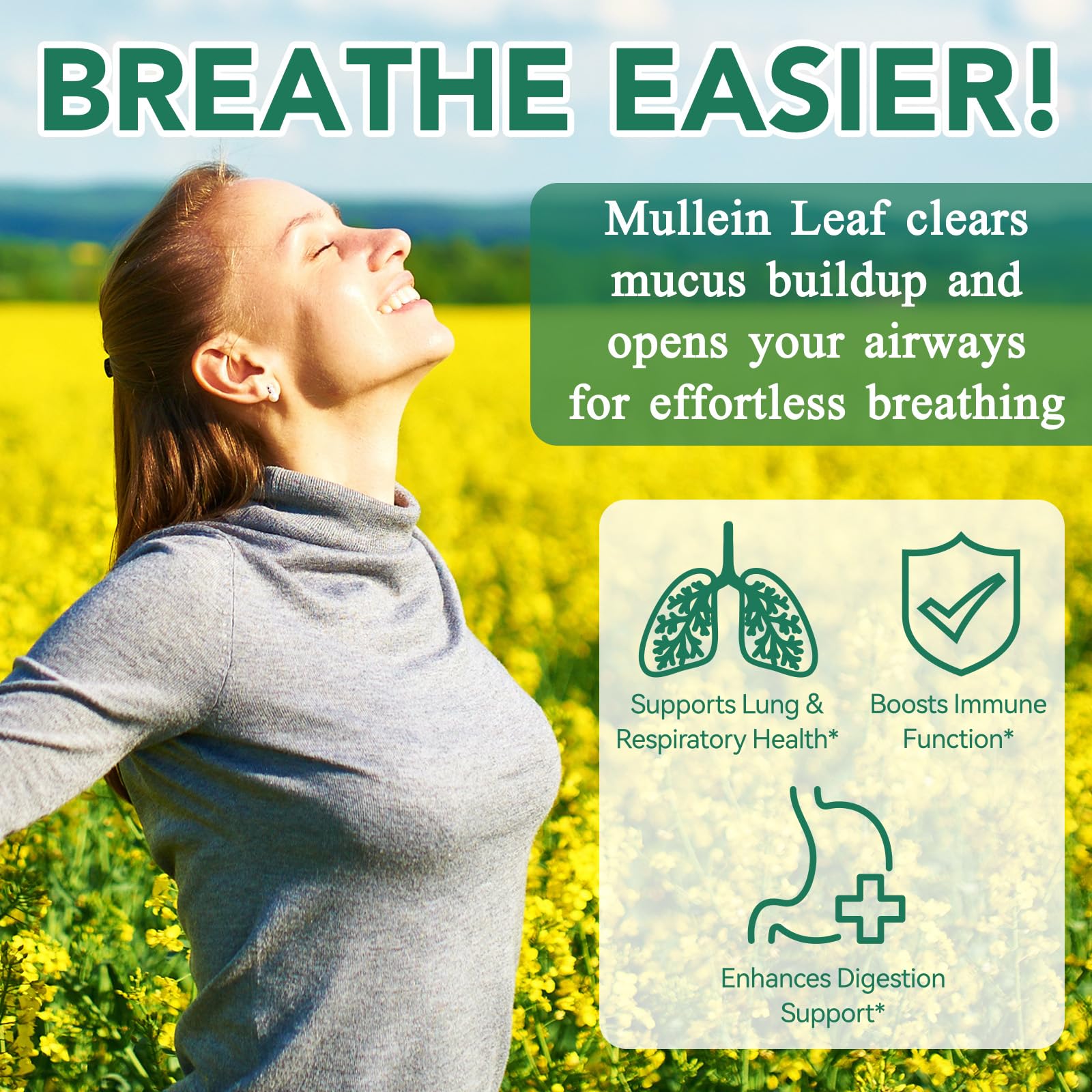Tooffi extrait-feuille-molene-respiration-02, confort respiratoire potentiel.