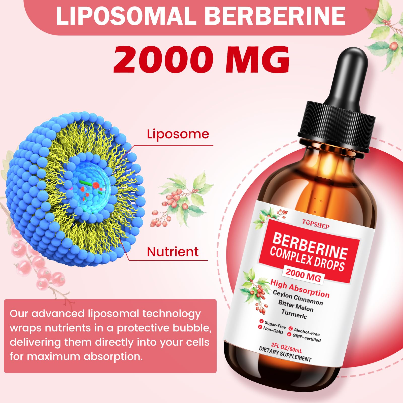 TOPSHEP Berberine vinaigre de cidre – gouttes faciles à mélanger dans une boisson.