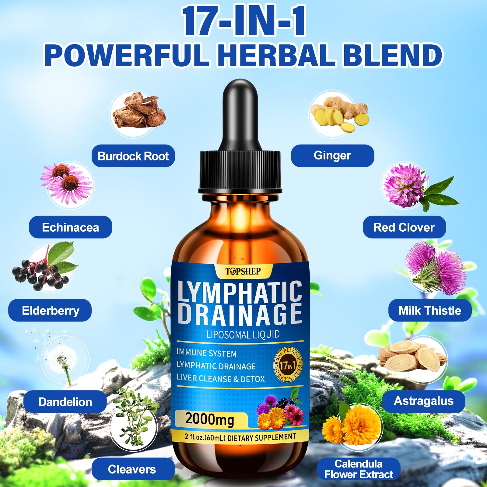 TOPSHEP complexe vitaminé liposomal pour énergie et vitalité