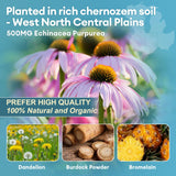 Totaria bromelaine, amélioration potentielle de la circulation