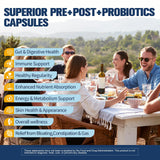 Totaria - capsules probiotiques faciles à avaler pour l'équilibre intestinal.