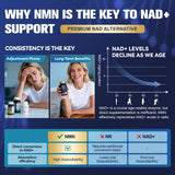 Totaria conditionnement sans réfrigération pratique et stable