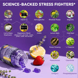 Totaria Cortisol: dosage quotidien pour soutien potentiel à la concentration.