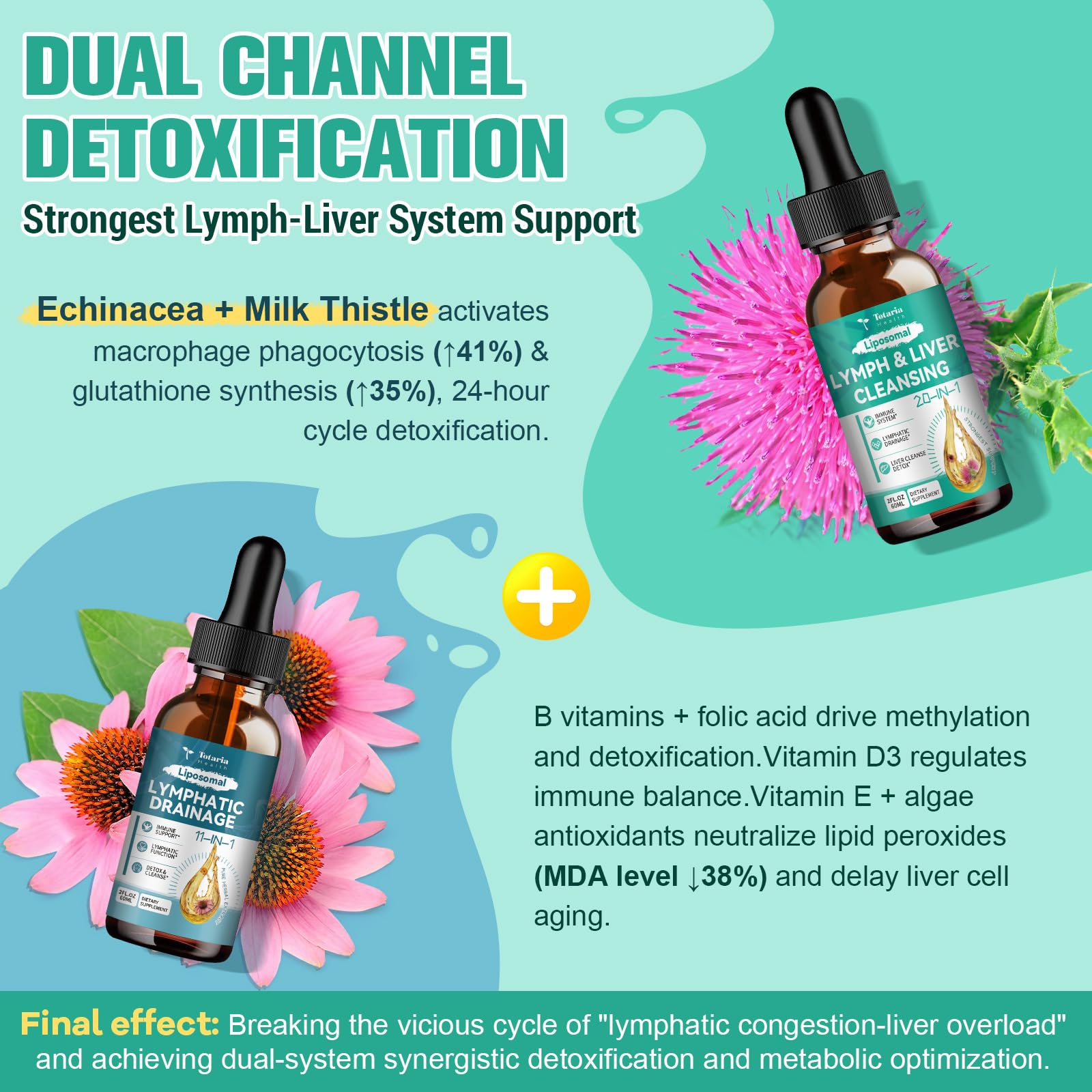 Totaria gaillet-gratteron, flacon, peut favoriser la circulation lymphatique.