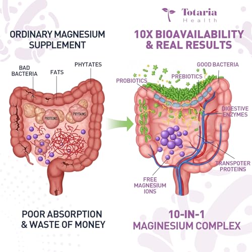 Totaria Probiotiques 100 Milliards CFU: soutien immunitaire et flore intestinale