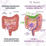 Totaria Probiotiques 100 Milliards CFU: soutien immunitaire et flore intestinale