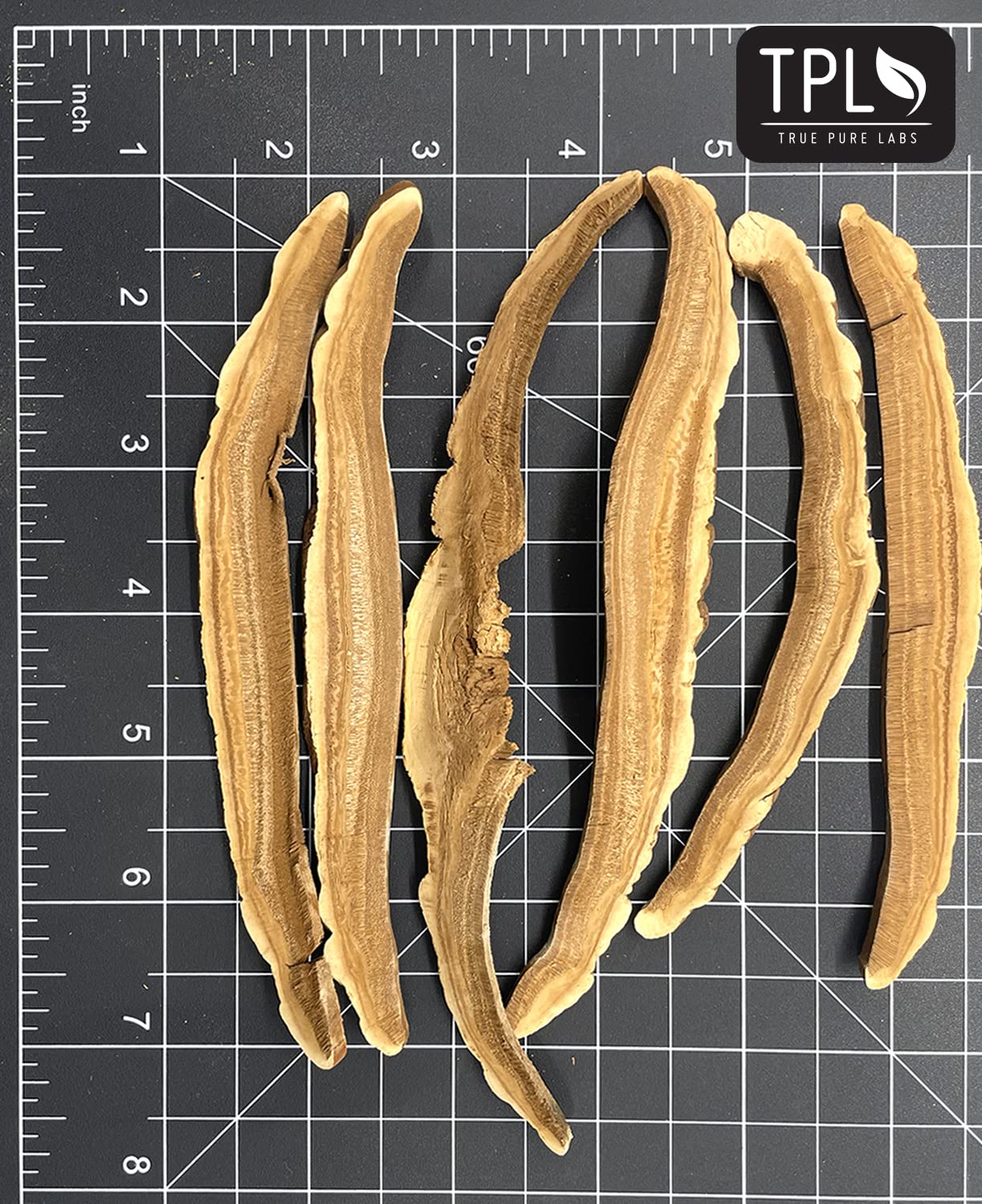 TPL Reishi texture délicate et saveur terreuse naturelle en dégustation