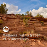 Trace Minerals Probiotic 55 Milliards – soutien intestinal dans la routine quotidienne.