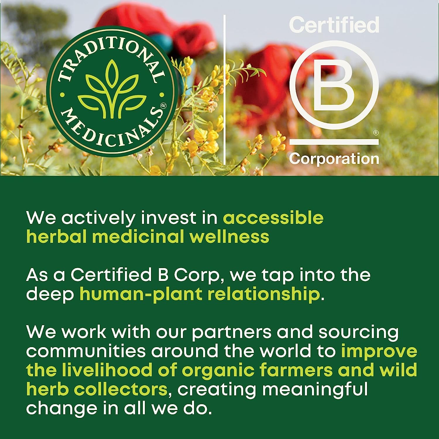 Smooth Move étiquette et emballage Traditional Medicinals, produit biologique certifié et sans OGM