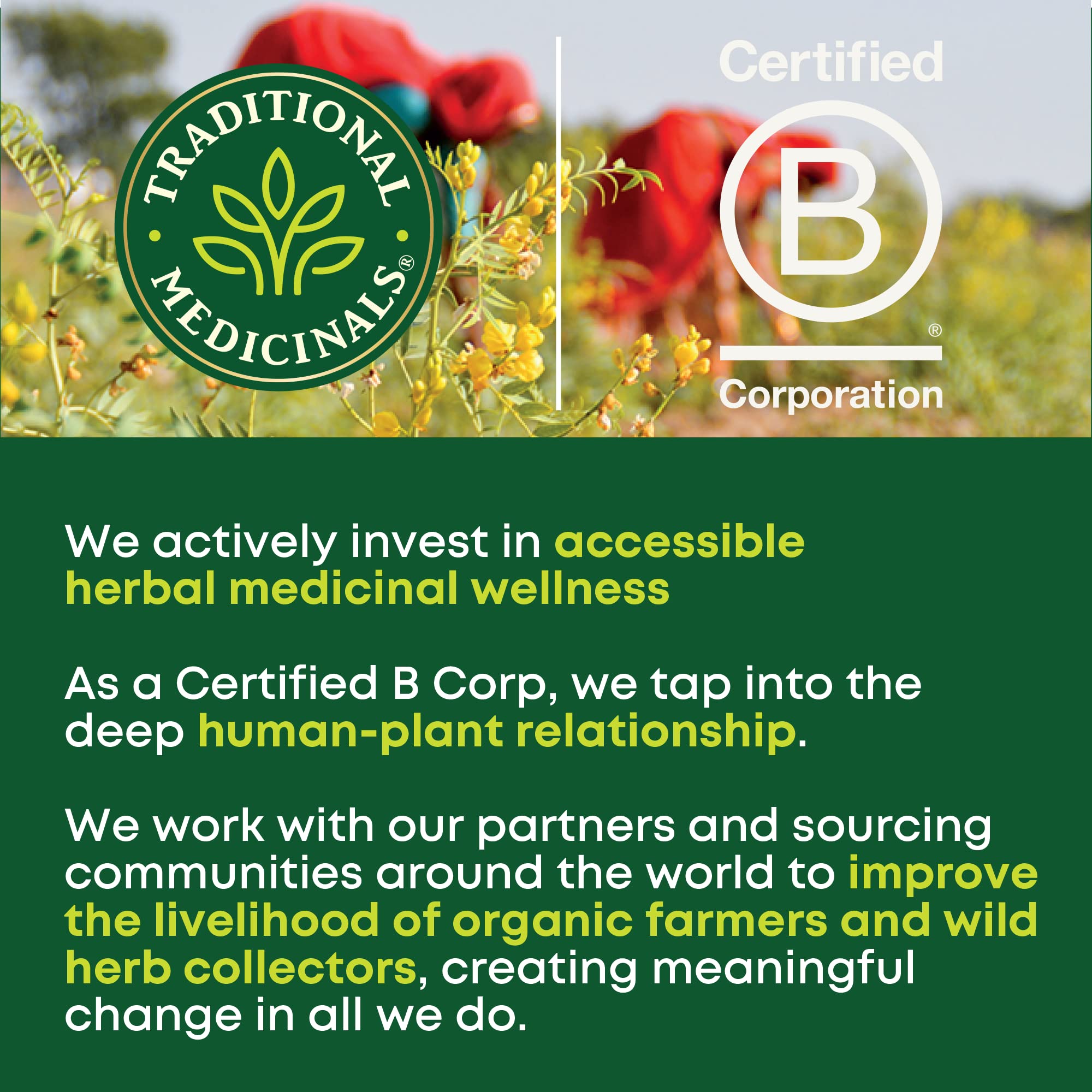 Traditional Medicinals Smooth Move: ingrédients biologiques certifiés, qualité éthique