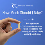 Transfer Point Immunité : dosage quotidien simple, 30 ou 60 capsules.