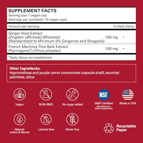 TRAVELSANA Pycnogenol et Gingembre – capsules véganes visibles pour favoriser le confort des jambes.