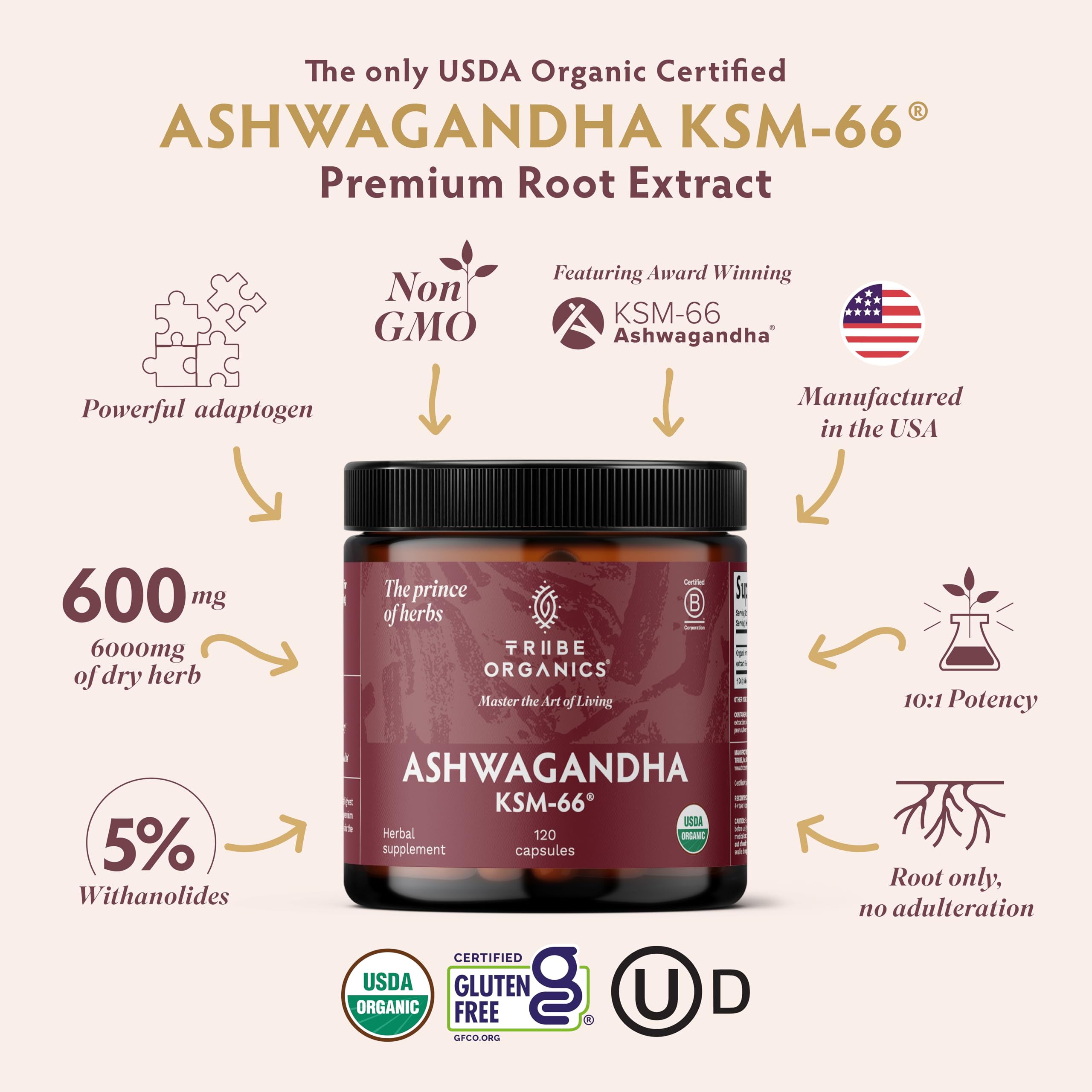 TRIBE ORGANICS Ashwagandha capsules – gélules faciles à intégrer à une routine.