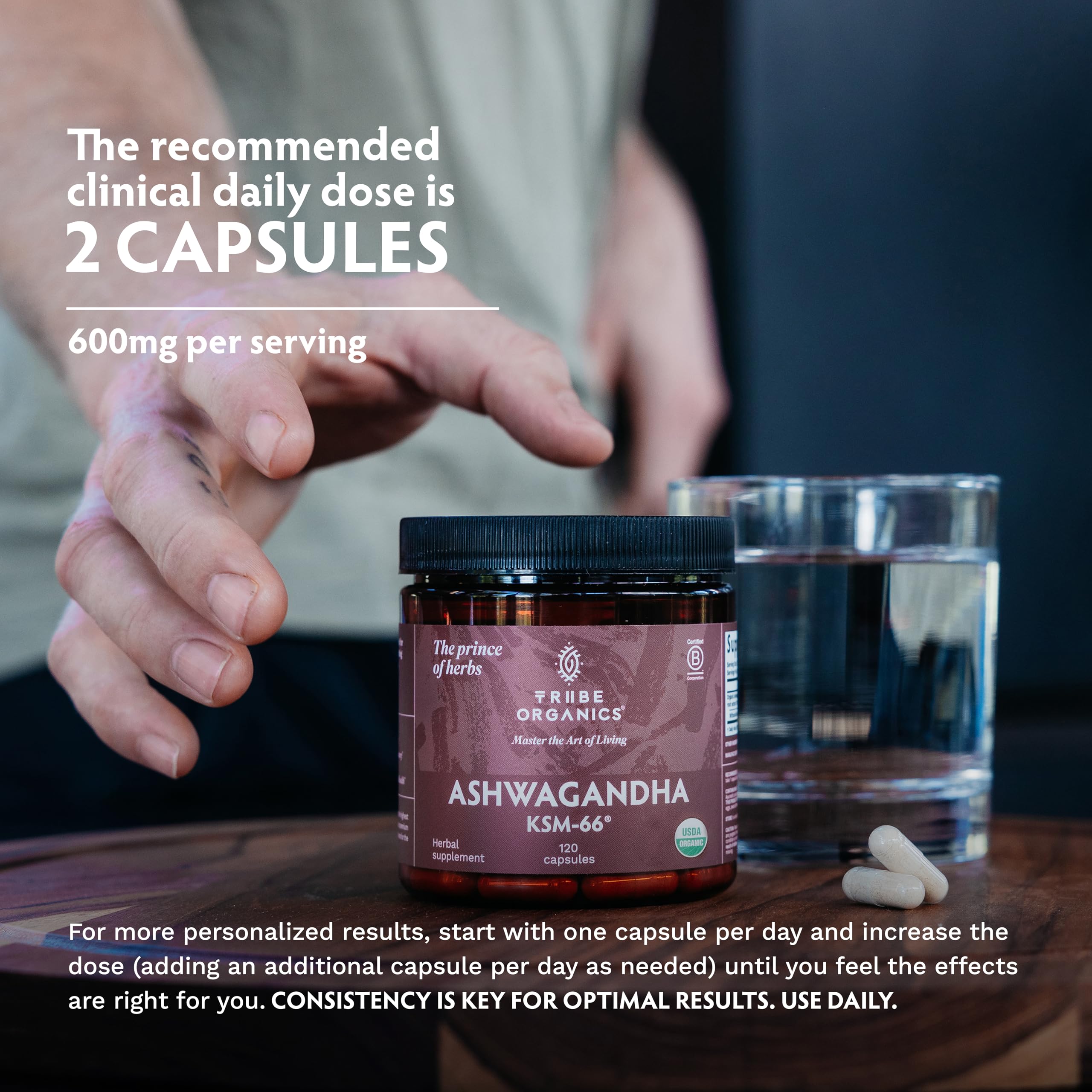 TRIBE ORGANICS Ashwagandha doseur – dose précise pour une utilisation fiable.